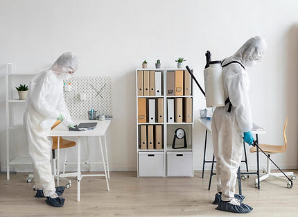 Fumigadores Profesionales Iangreen