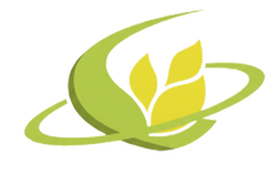 Remove background project (1).png