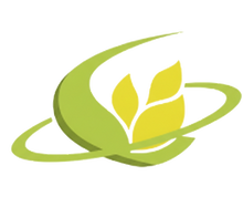 Remove background project (1).png