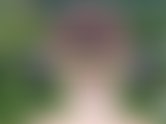 Dia Tang Phi Lai Pagoda: A Hidden Spiritual Retreat in Ha Nam