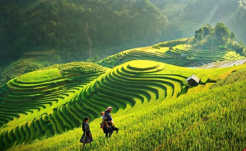 Trekking through iconic green rice terrace scenery