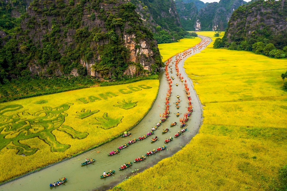 Tam Coc – Green rice fields and riverside scenery