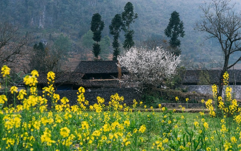 Riding through blooming valleys and mountain roads