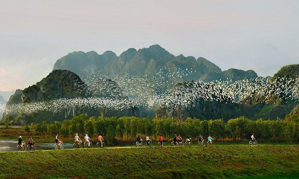 Thung Nham Bird Park – Nature and wetlands are more active