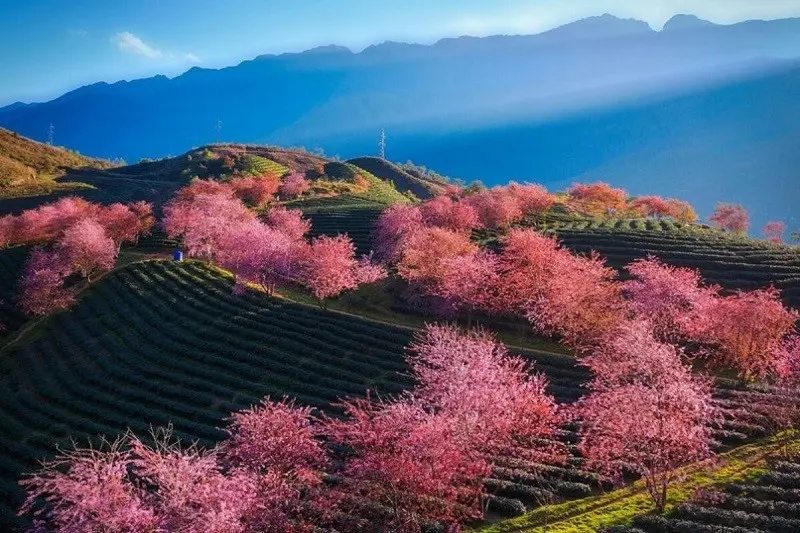 Walking through blooming mountain villages