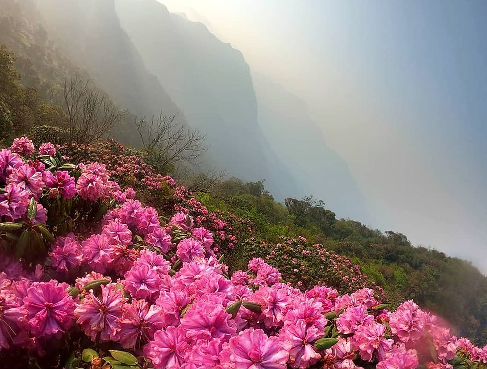 Warm spring temperatures with comfortable variation
