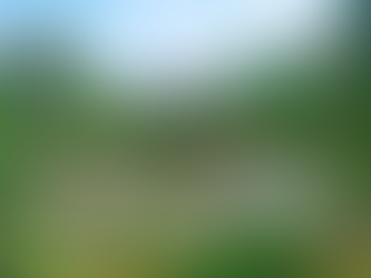 Top Ninh Binh Attractions – Discover Vietnam’s Hidden Gem