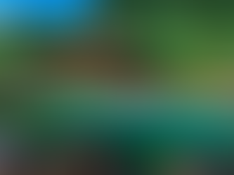 Tram Tau Hot Spring – Natural Mineral Bath in Yen Bai 