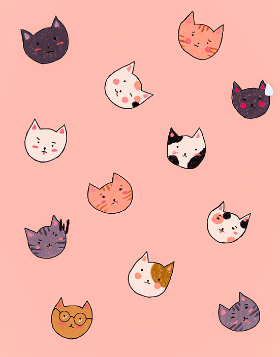 shy cats pink.PNG