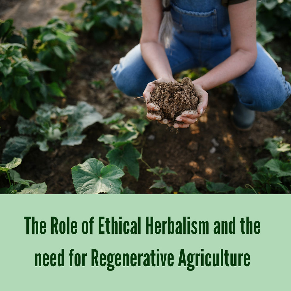 image of person holding soil in their hands on a regenerative farm. Text stating 'The role of Ethical Herbalism and the need for Regenerative Agriculture'