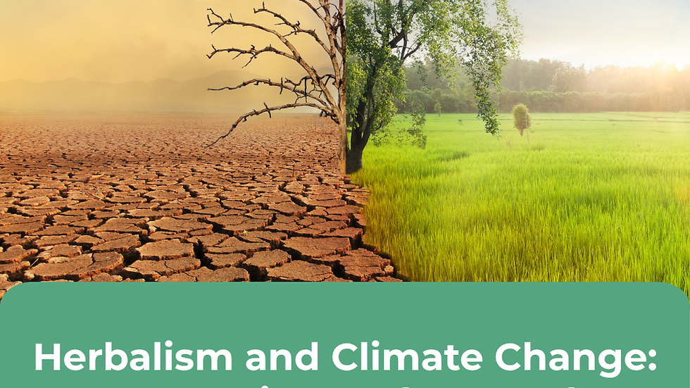 image of a tree half dying and half alive with text stating climate change is real, let's discuss.
