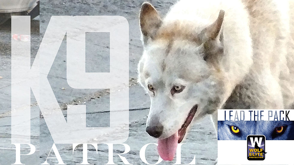 WILD_THING_LTP_Rx