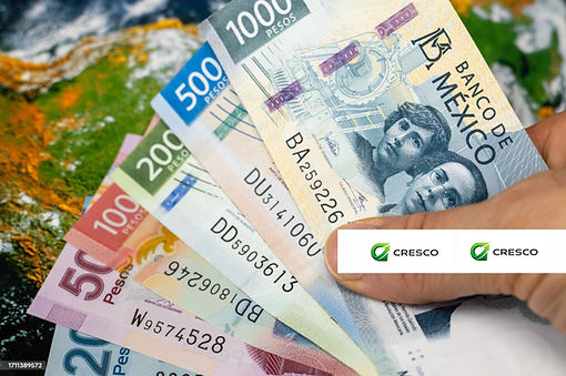 PESOS MEXICANOS OK.jpg