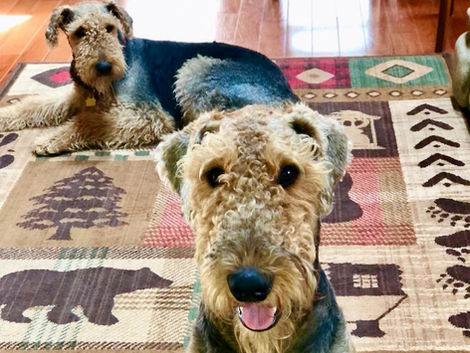 Lucky and Tuck.jpg