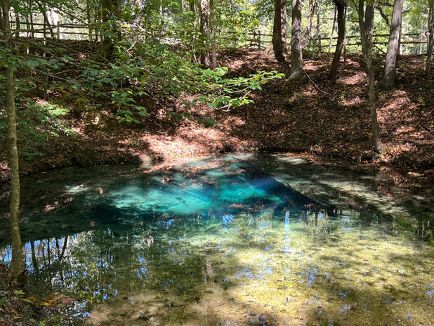 Blue Hole Spring at Red Clay State Historical Park