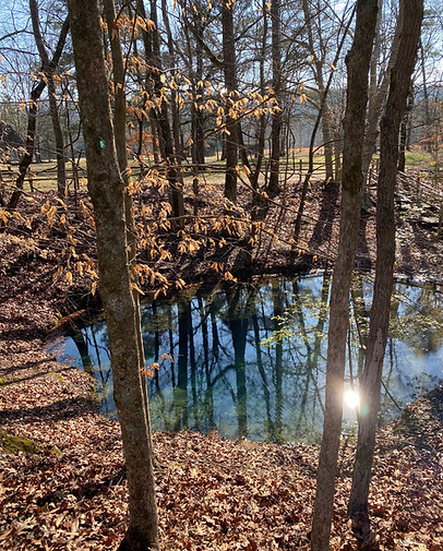 Blue Hole Spring at Red Clay State Park