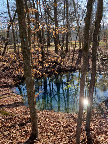 Blue Hole Spring at Red Clay State Historical Park