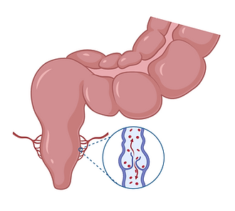 Screenshot 2025-07-19 at 4.05.15 PM.png