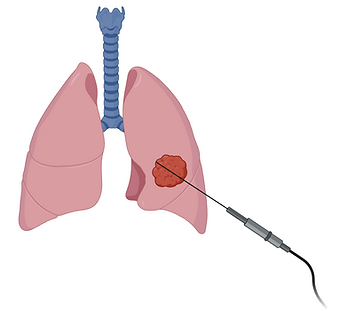 Screenshot 2025-07-19 at 5.28.14 PM.png