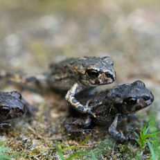 DSC_2822.JPG