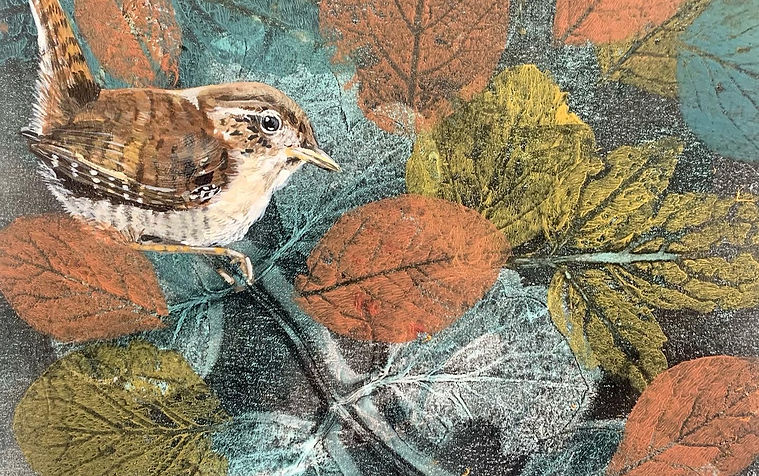 Wren in hedgerow