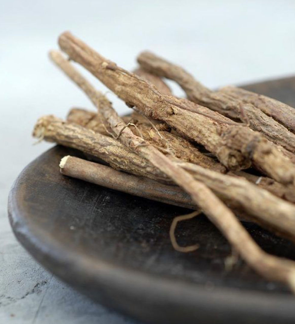 Thumbnail: Elecampane and Licorice Root Tincture