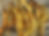 Thumbnail: Burdock Root, Dandelion Root, Yellow Dock Root, Nettle Leaf Tincture