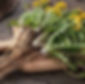 Thumbnail: Burdock Root, Dandelion Root, Yellow Dock Root, Nettle Leaf Tincture
