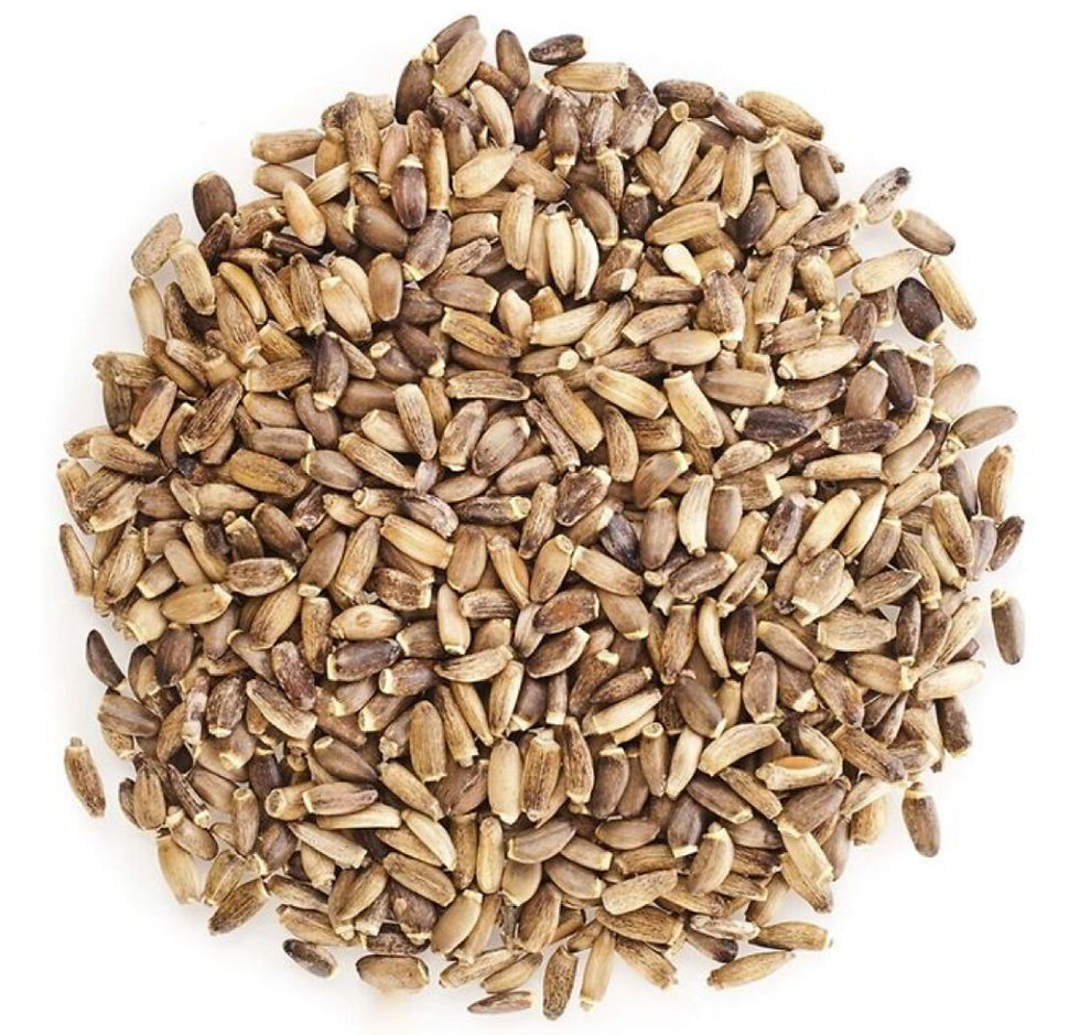 Thumbnail: Milk Thistle Seed Tincture