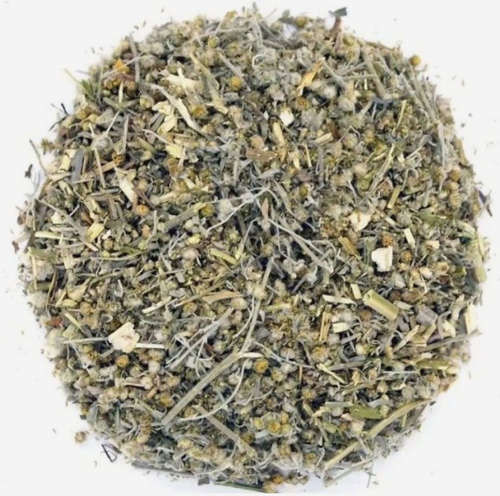 Thumbnail: Mugwort Tincture