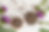 Thumbnail: Liver Detox Tincture