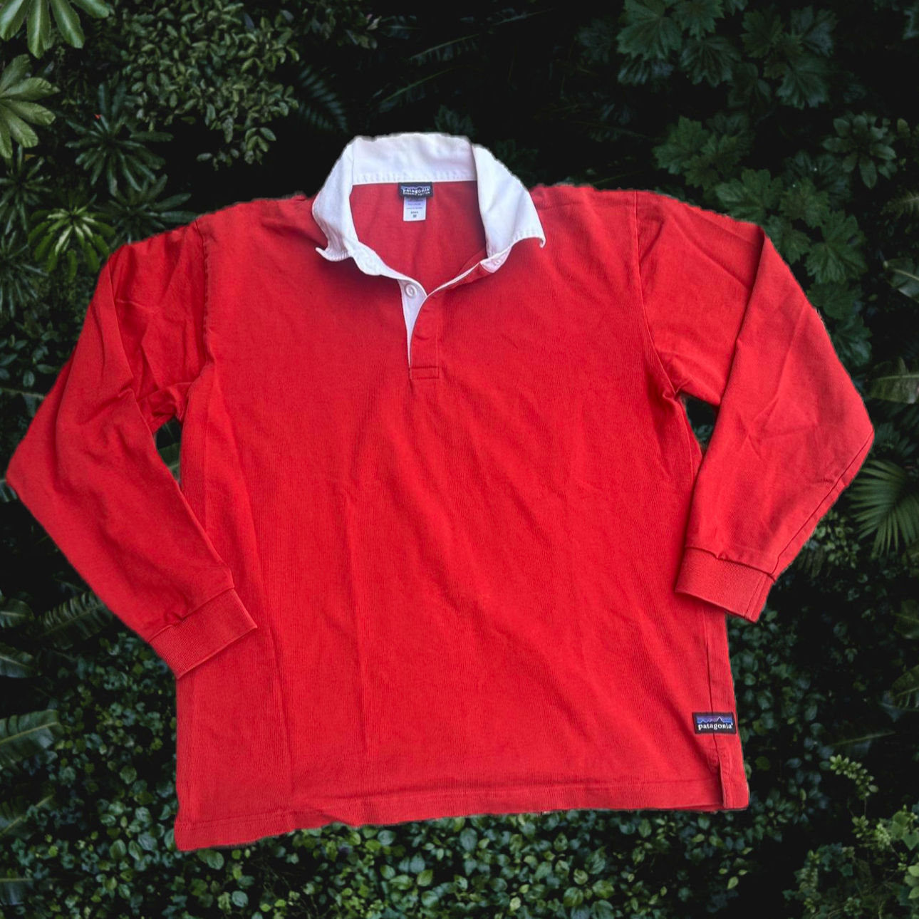 Patagonia Shirt