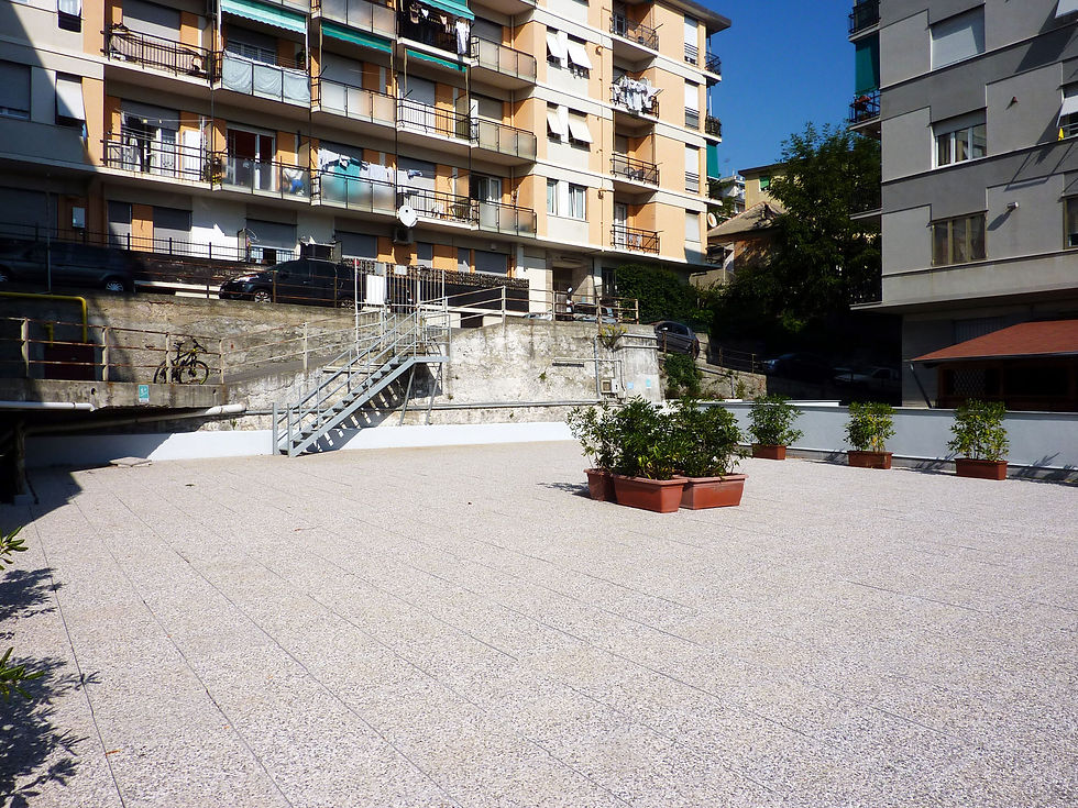 P1090755.jpg
