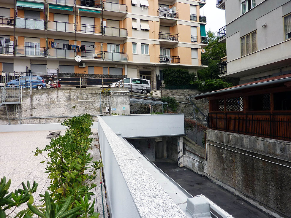 P1090796.jpg