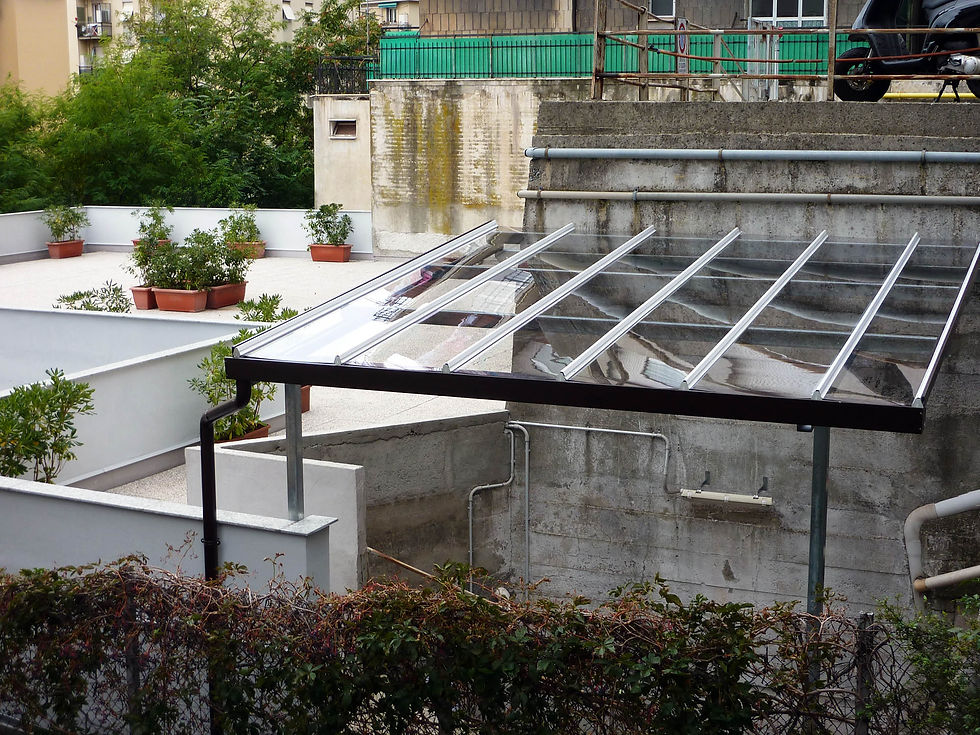 P1090794.jpg