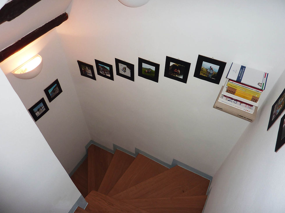 P1110032.jpg