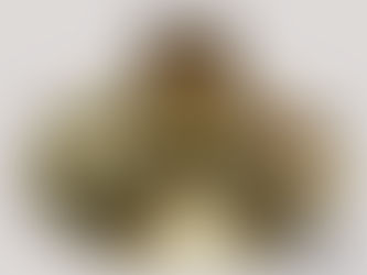 中古Alexanderベルフレア入荷のお知らせ