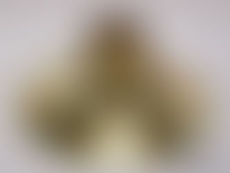 中古Alexanderベルフレア入荷のお知らせ