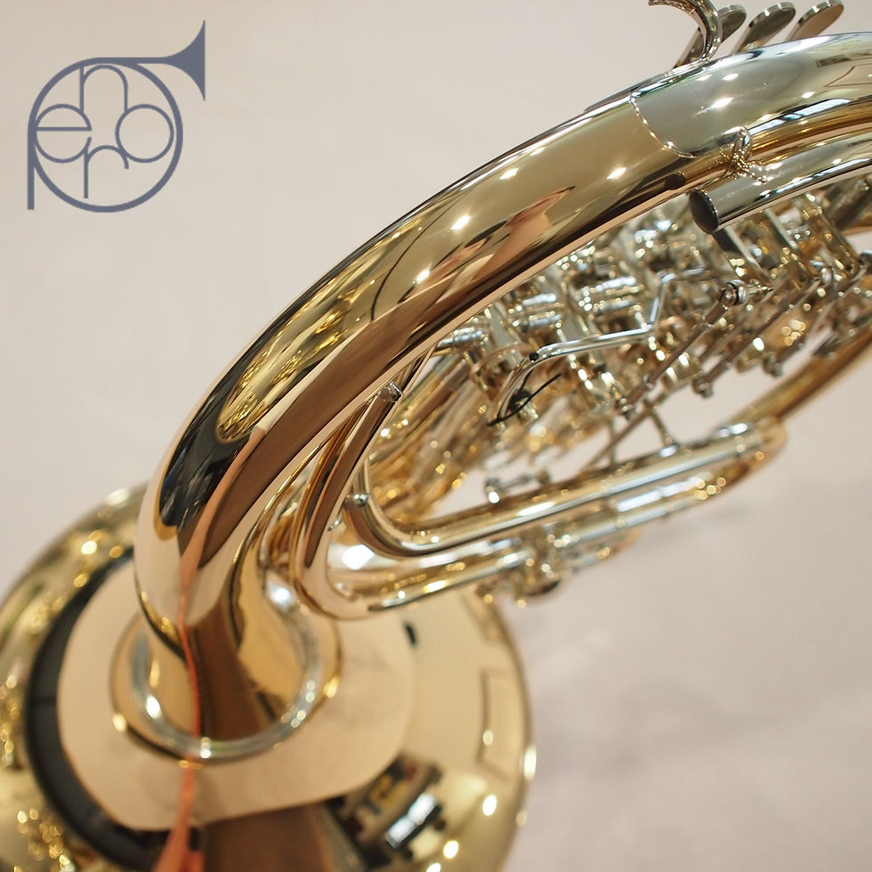 サムネイル： Ricco Kühn W313XGBL（中古）