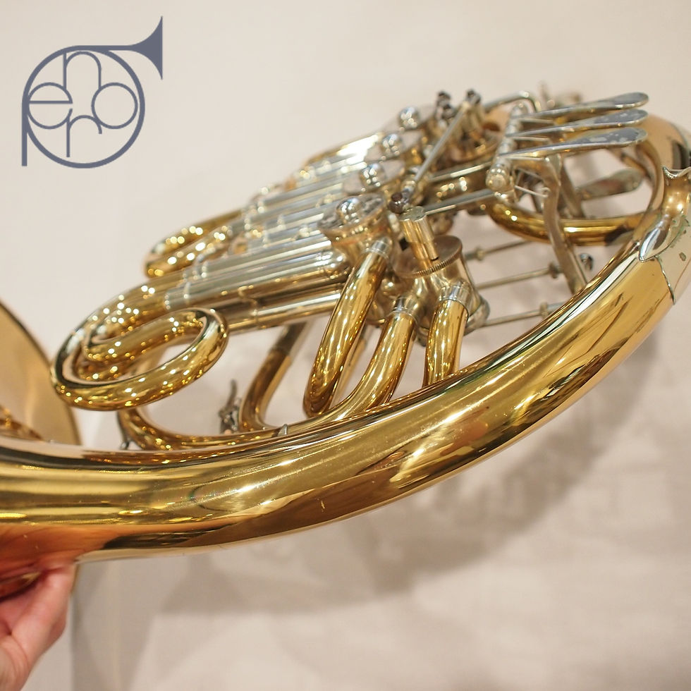 サムネイル： Alexander107GBL（中古）