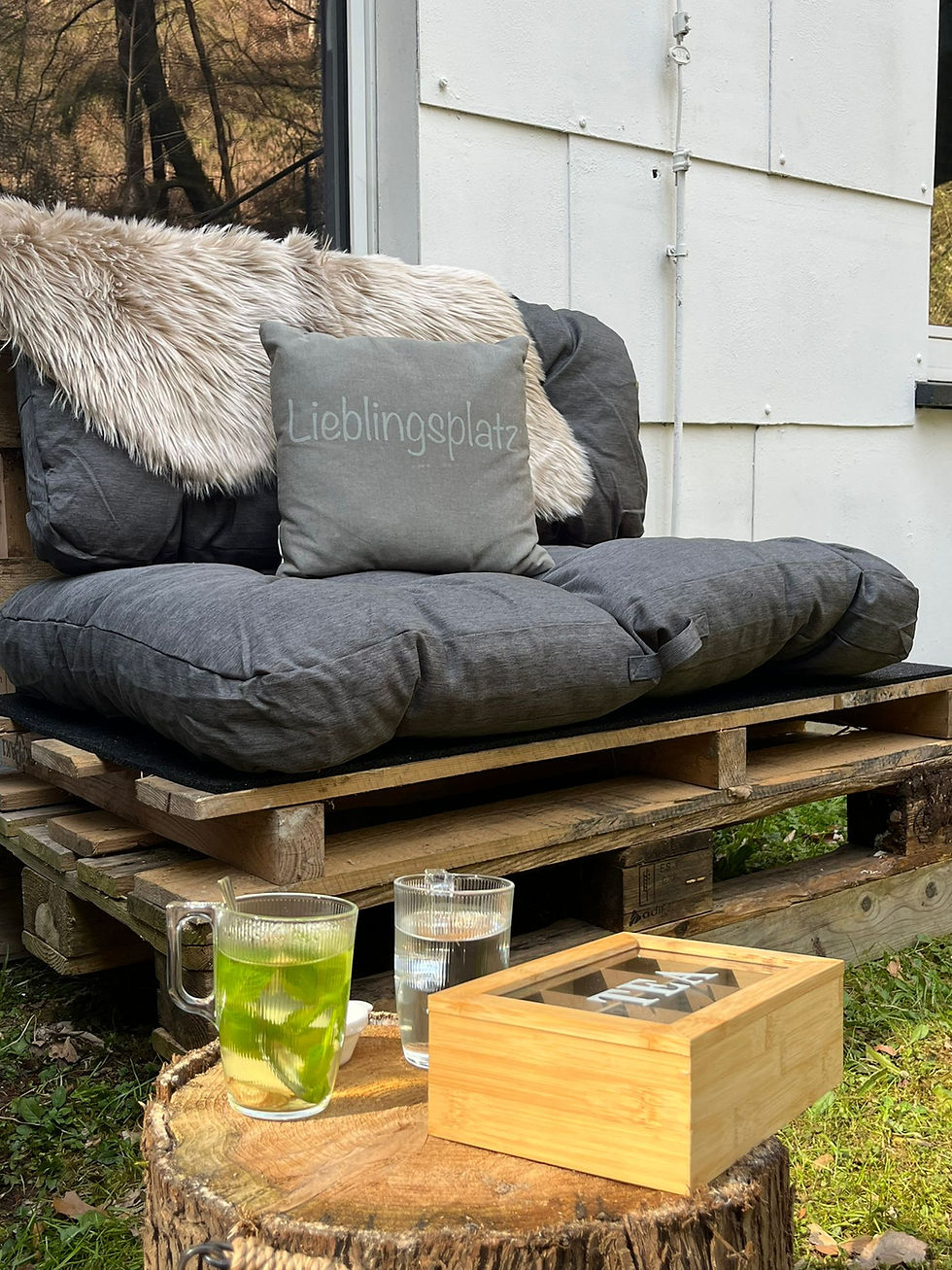 terras #3