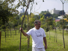 Administrador aposentado planta milhares de árvores na zona leste de São Paulo