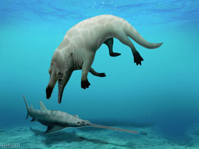 Fóssil de espécie ancestral de baleia de quatro pernas é descoberta no Egito