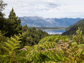 Chile estabelece 10 milhões de hectares de parques nacionais em movimento pró-conservação.