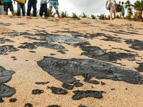 Mais de 600 toneladas de resíduos foram coletadas de praias do nordeste afetadas pelo óleo