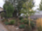 Permaculture application