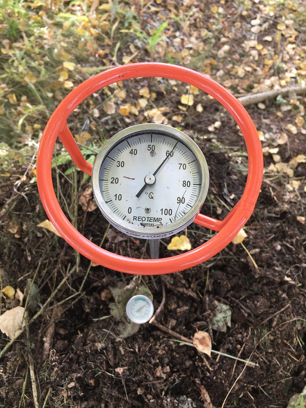 Compost Thermometer