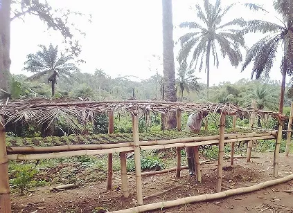 agricultureproject.webp