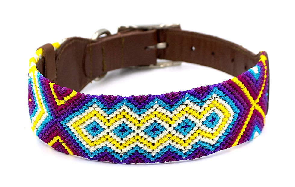 Artisan Dog Collar / l