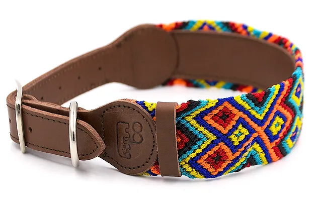 Small dog collars uk clearance